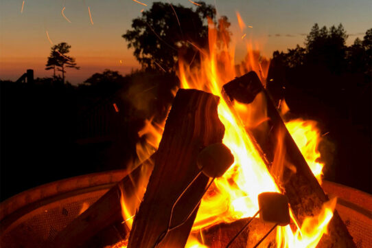 Nabco fire wood